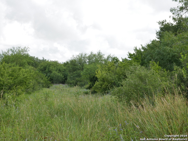 Image 8 of 8 For Tract 8 Cr 208