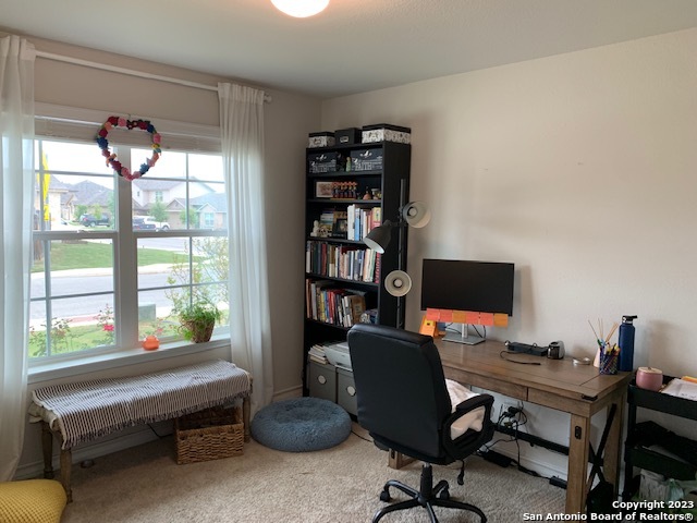 Listing photo id 27 for 13111 Maestro Spark