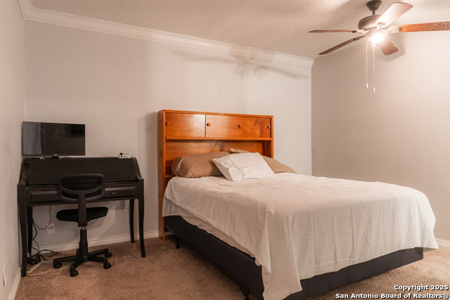 Image 15 of 26 For 504 Saddlebrook Dr.