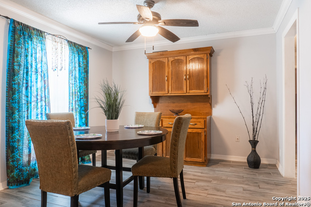 Image 7 of 26 For 504 Saddlebrook Dr.