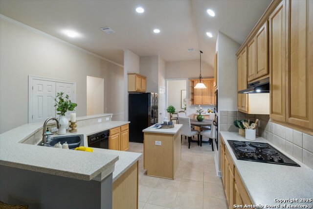 Image 9 of 29 For 1302 Charlisas Way