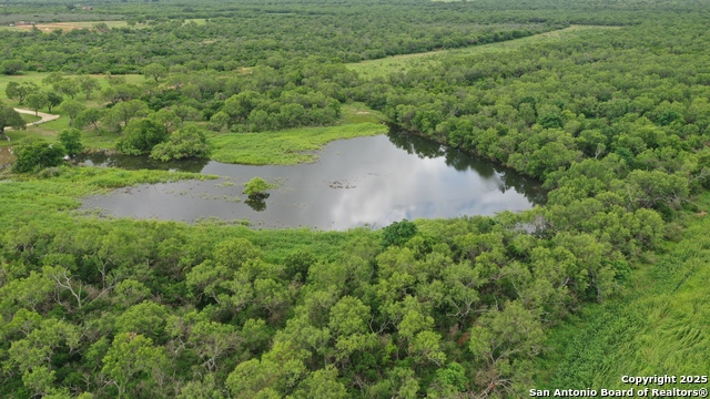 Listing photo id 9 for 1601 County Road 640
