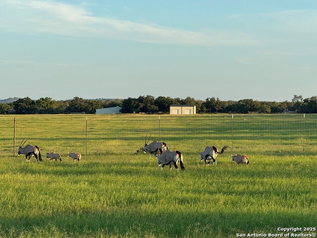 Image 74 of 86 For 772 Luckenbach Rd.