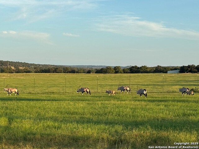Image 75 of 86 For 772 Luckenbach Rd.
