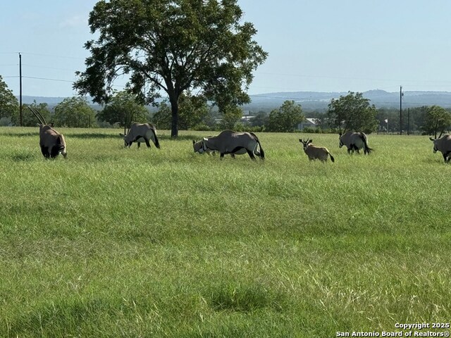Image 76 of 86 For 772 Luckenbach Rd.