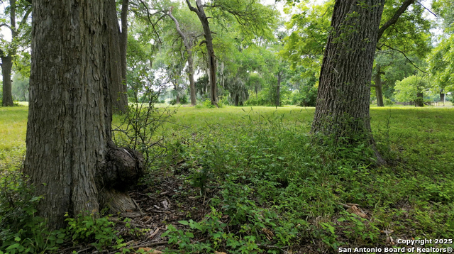 Listing photo id 9 for 2550 York Creek Road