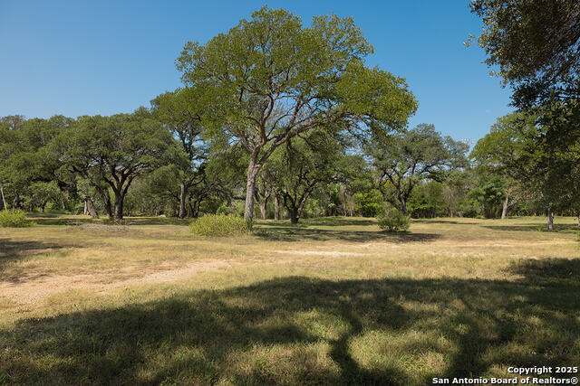 Image 4 of 9 For 1007 7th Street