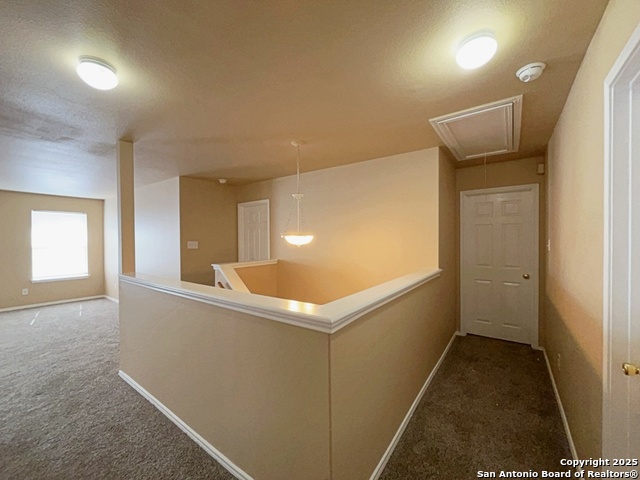 Image 25 of 53 For 1754 Barking Wolf