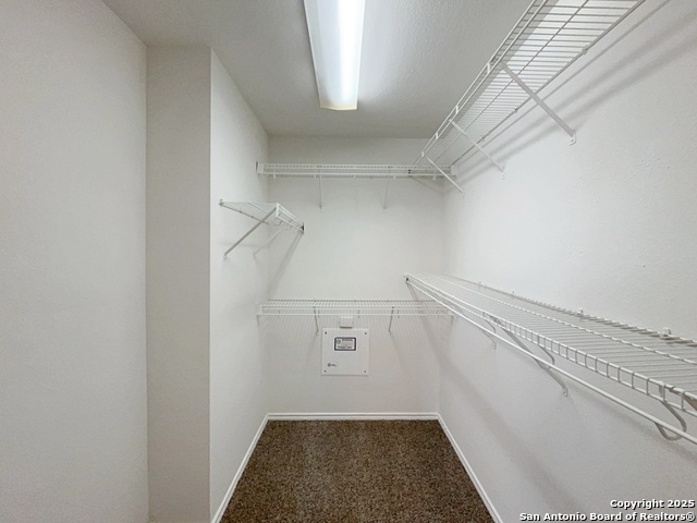 Image 28 of 53 For 1754 Barking Wolf