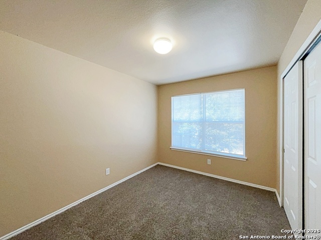 Image 33 of 53 For 1754 Barking Wolf