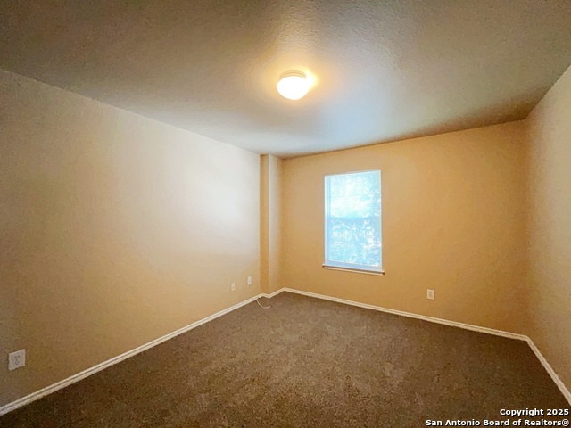 Image 36 of 53 For 1754 Barking Wolf