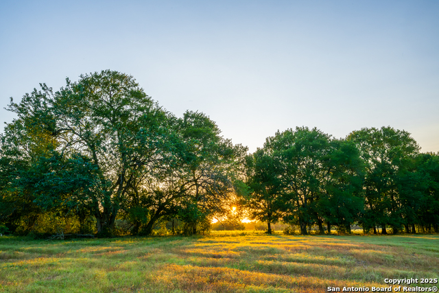 Listing photo id 21 for 1071 Private Road 1090
