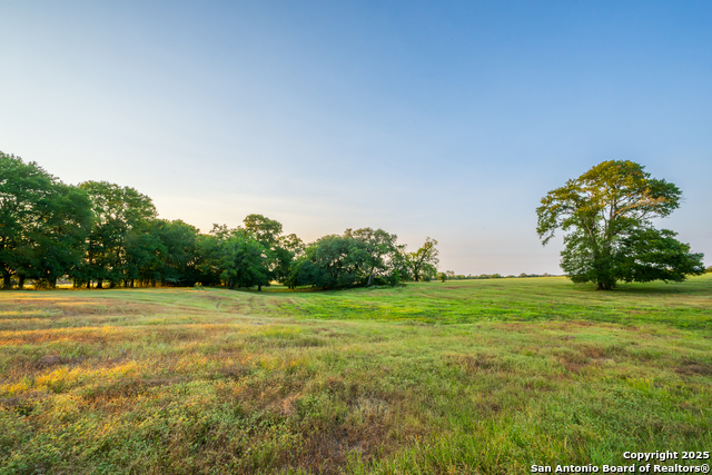 Listing photo id 23 for 1071 Private Road 1090
