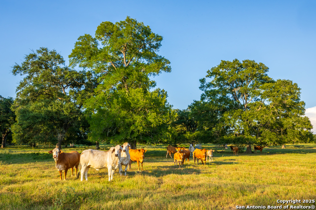 Listing photo id 27 for 1071 Private Road 1090
