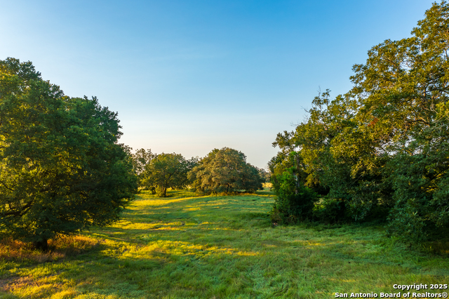 Listing photo id 36 for 1071 Private Road 1090