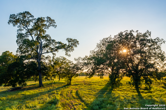 Listing photo id 38 for 1071 Private Road 1090