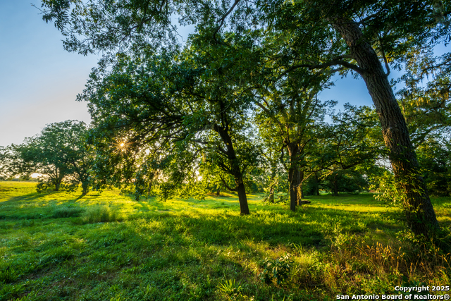 Listing photo id 44 for 1071 Private Road 1090