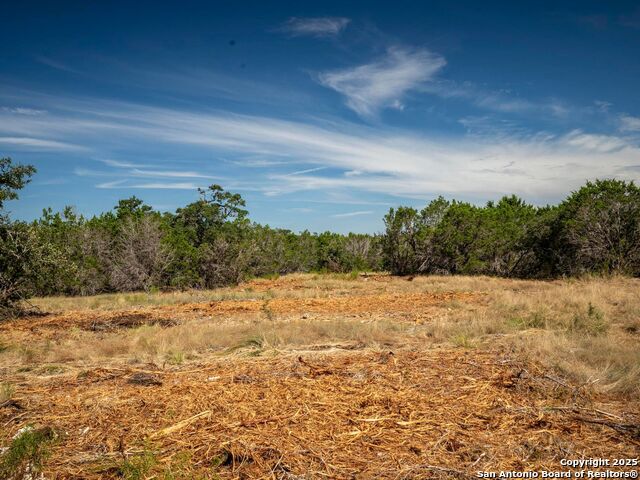 Image 10 of 44 For Lot 11 Wainright Springs