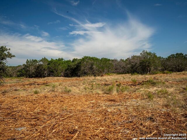 Image 11 of 44 For Lot 11 Wainright Springs