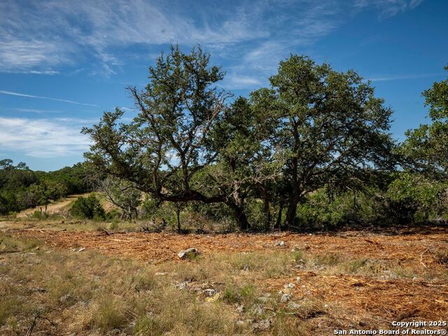 Image 13 of 44 For Lot 11 Wainright Springs