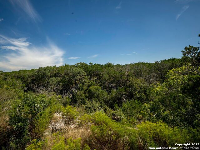 Image 17 of 44 For Lot 11 Wainright Springs