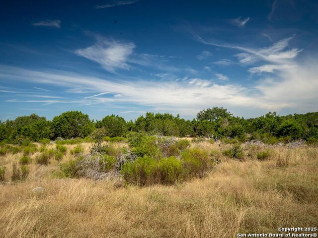 Image 20 of 44 For Lot 11 Wainright Springs