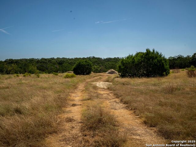 Image 23 of 44 For Lot 11 Wainright Springs