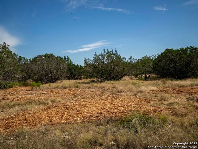 Image 4 of 44 For Lot 11 Wainright Springs