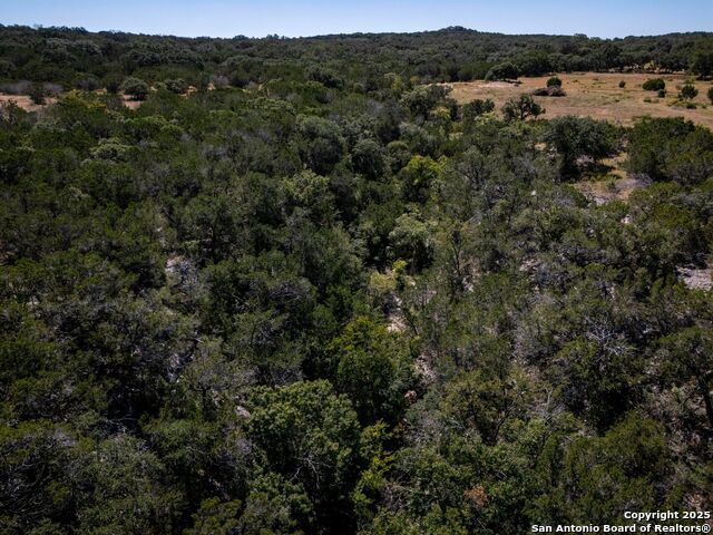 Image 45 of 55 For Lot 11 Wainright Springs