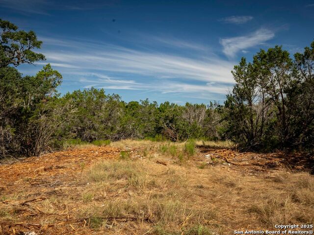 Image 5 of 44 For Lot 11 Wainright Springs