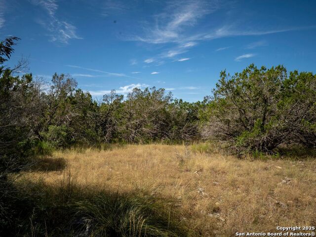 Image 6 of 44 For Lot 11 Wainright Springs