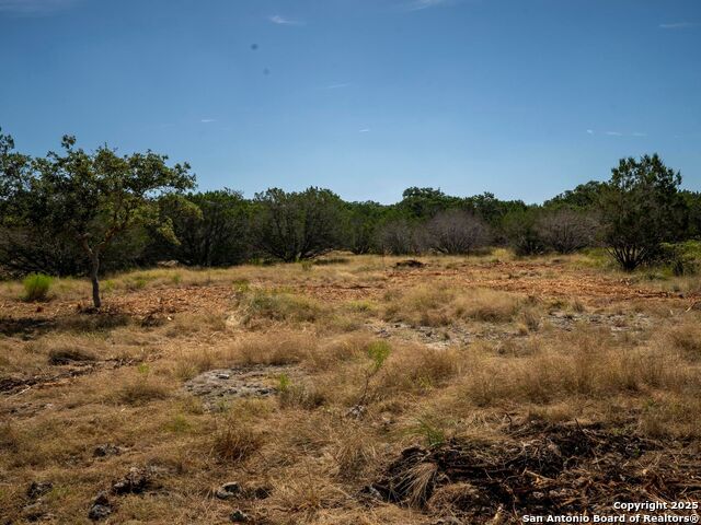 Image 8 of 44 For Lot 11 Wainright Springs