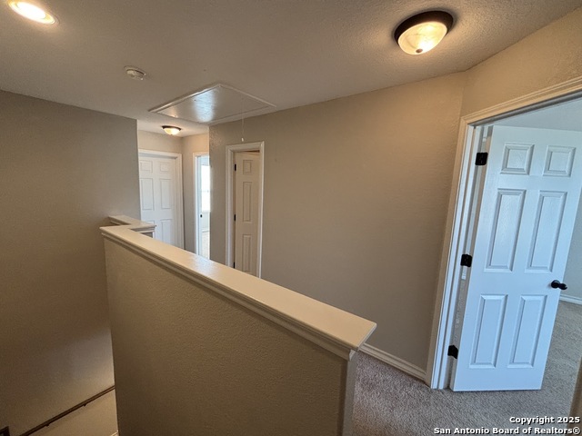 Image 12 of 20 For 14106 Veneto  2