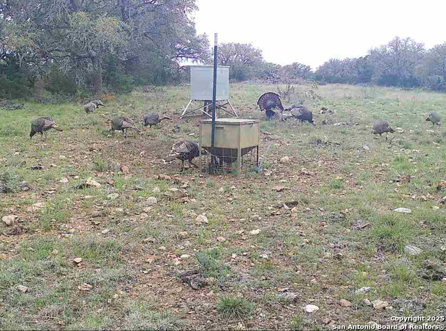 Listing photo id 39 for 104 Sd 14070