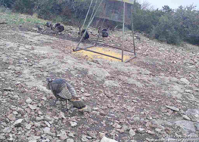 Listing photo id 40 for 104 Sd 14070