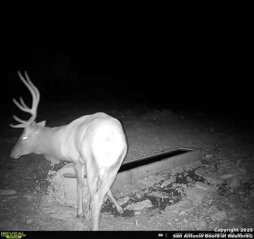 Listing photo id 47 for 104 Sd 14070