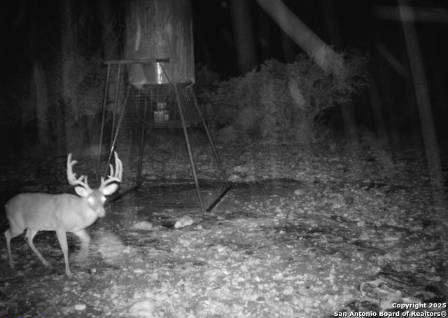 Listing photo id 58 for 104 Sd 14070