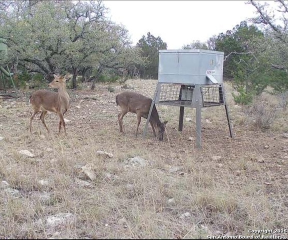 Listing photo id 69 for 104 Sd 14070