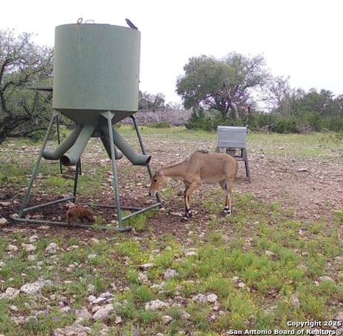 Listing photo id 70 for 104 Sd 14070