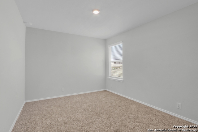 Image 6 of 13 For 4727 Wild Boar Xing