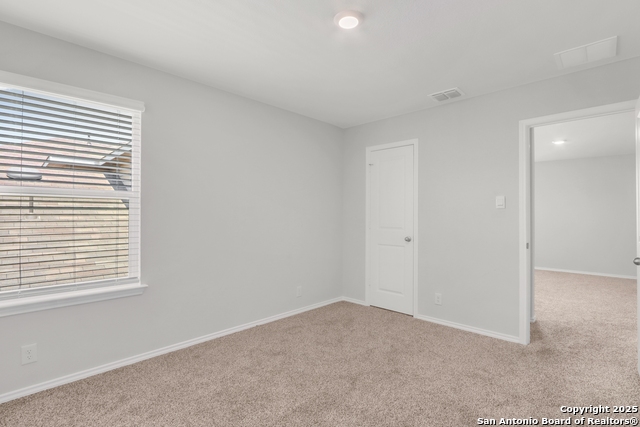 Image 7 of 13 For 4727 Wild Boar Xing