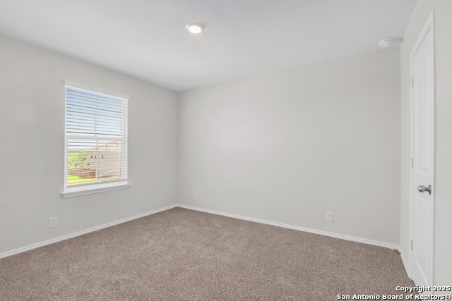 Image 8 of 13 For 4727 Wild Boar Xing