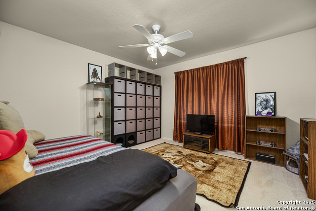Image 13 of 16 For 8852 Staghorn