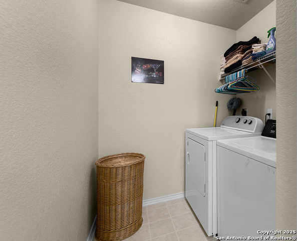 Image 16 of 16 For 8852 Staghorn