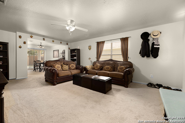 Image 4 of 16 For 8852 Staghorn