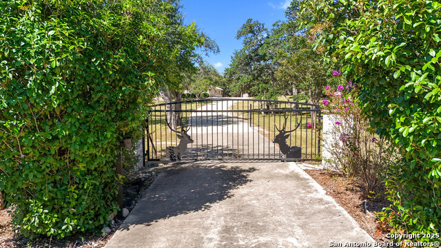 Image 18 of 34 For 161 N Stallion Estates Dr