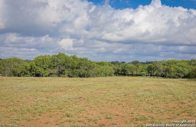 Listing photo id 3 for 10454 Foster Rd S