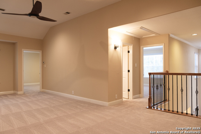 Image 23 of 35 For 23 Jackson