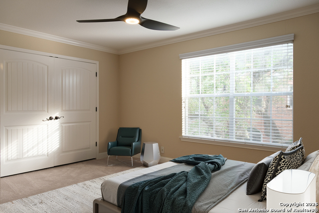 Image 25 of 35 For 23 Jackson