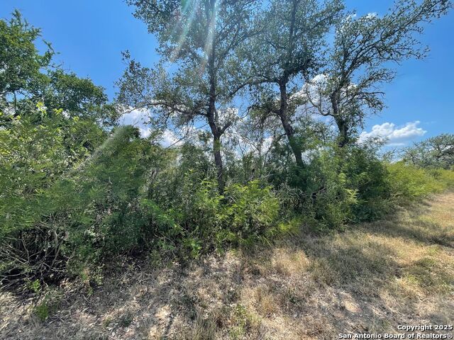 Details for 0 King Ln W, Beeville, TX 78102